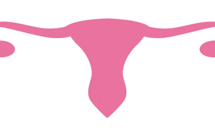 Vaginal rejuvenation is a treatment that is carried in Crete Fertility Centre. Crete-Fertility-Centre-Vaginal-Rejuvenation