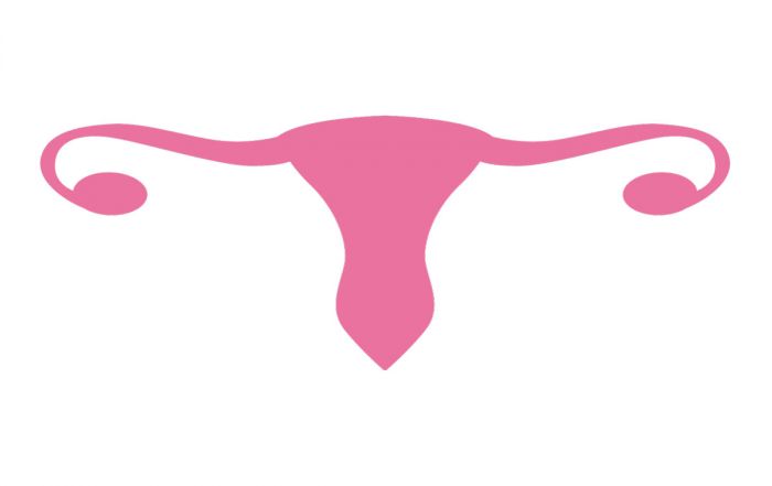 Vaginal rejuvenation is a treatment that is carried in Crete Fertility Centre.