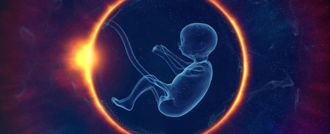 Ovarian aging & oxidative stress